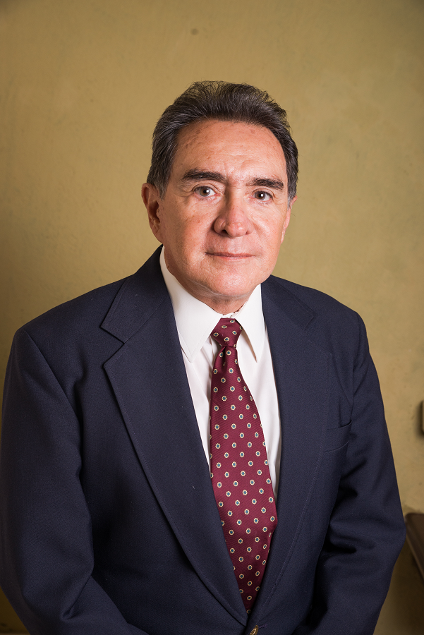 Raul Ballote Senior Partner